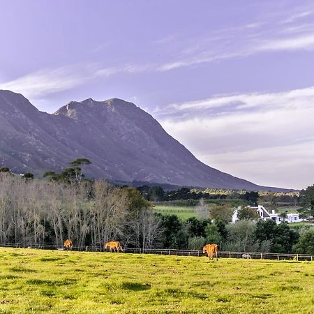 Hemel 'N Aarde Stud Hotel Hermanus Bagian luar foto