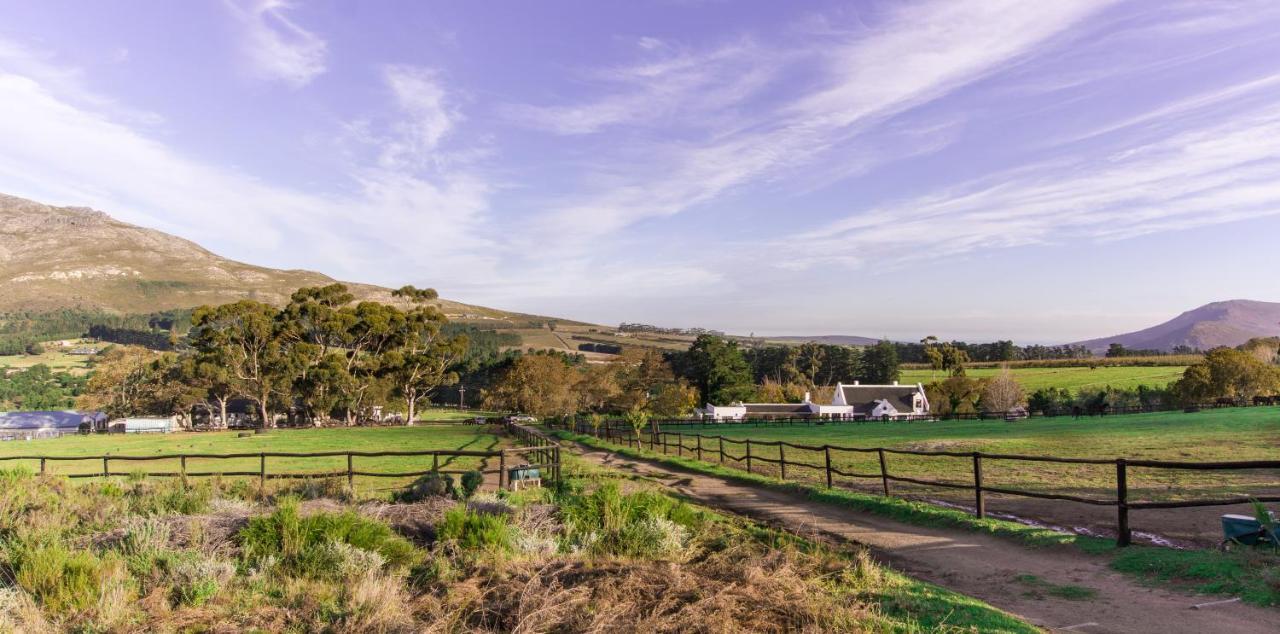 Hemel 'N Aarde Stud Hotel Hermanus Bagian luar foto