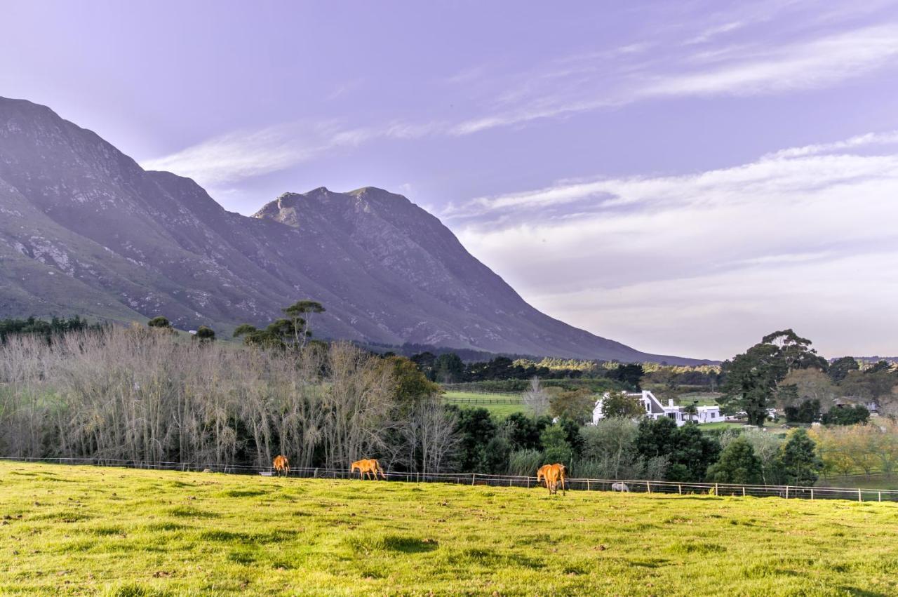 Hemel 'N Aarde Stud Hotel Hermanus Bagian luar foto