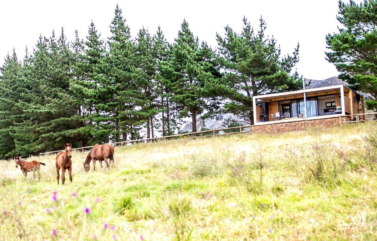 Hemel 'N Aarde Stud Hotel Hermanus Bagian luar foto
