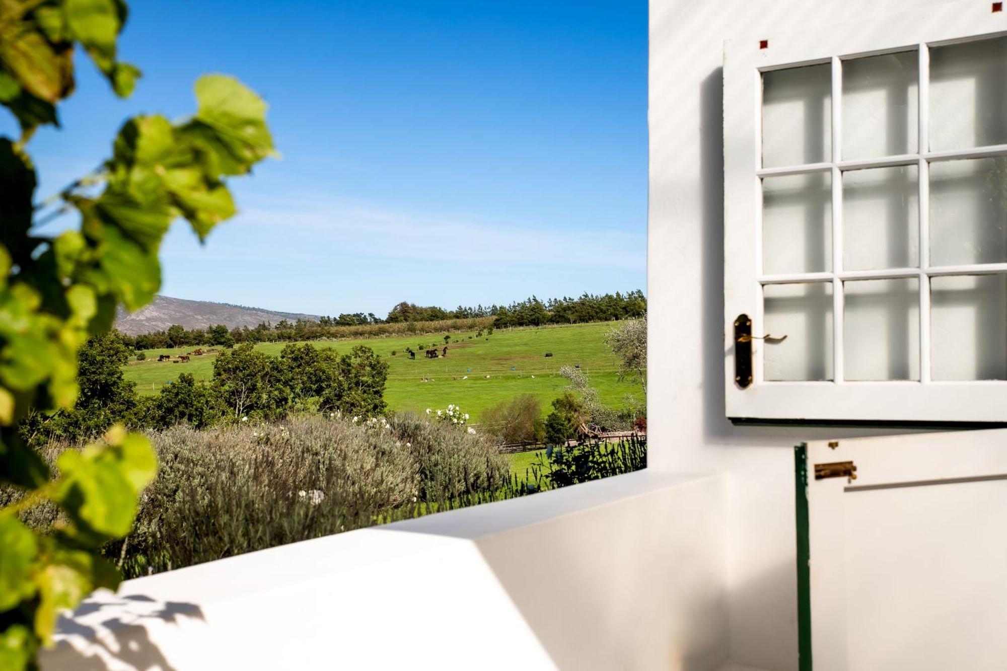 Hemel 'N Aarde Stud Hotel Hermanus Bagian luar foto